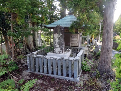 c568106b.jpg
