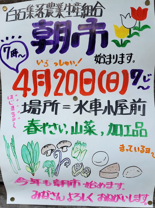 20250412_131039.jpg-1