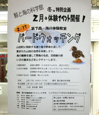 c8c2b075.jpg