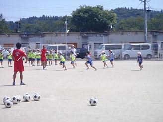 P8231773-2.jpg