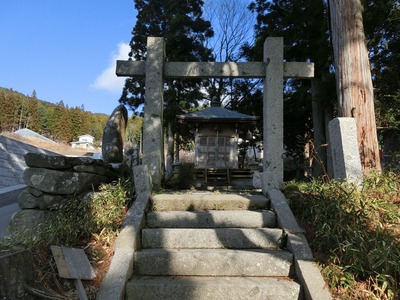 cd988c93.jpg
