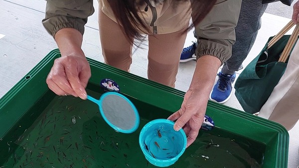 s-20231021_100410 - frame at 3m3s