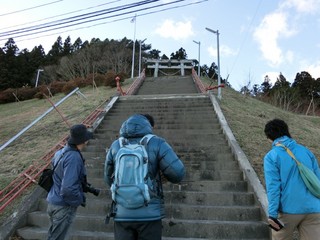 d0246661.jpg