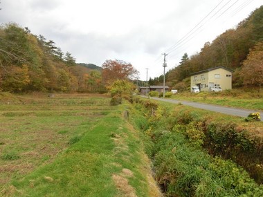 d1978392.jpg