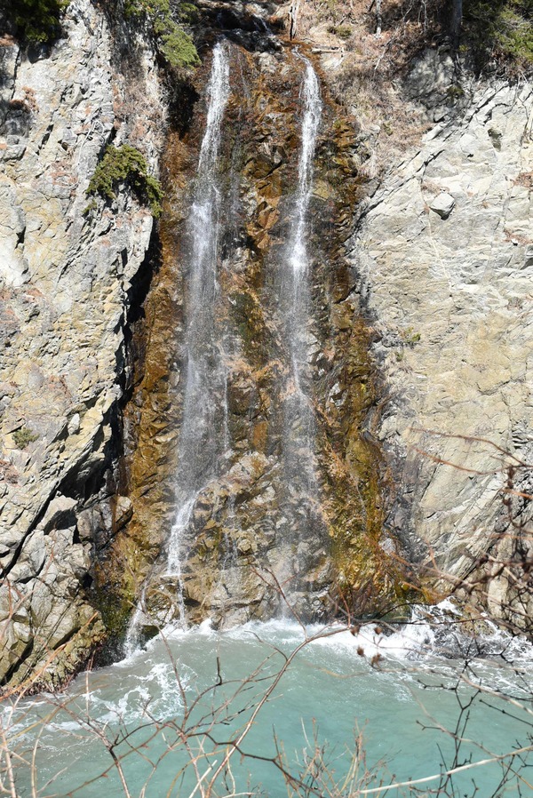 DSC_0768.jpg-1