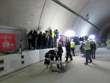 d983f9a4.jpg