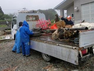 deaa78d4.jpg