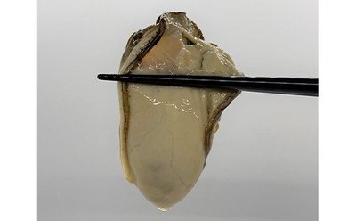 e0d803f7.jpg
