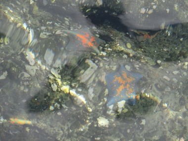 e2066f66.jpg