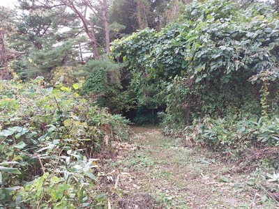 e485d89e.jpg