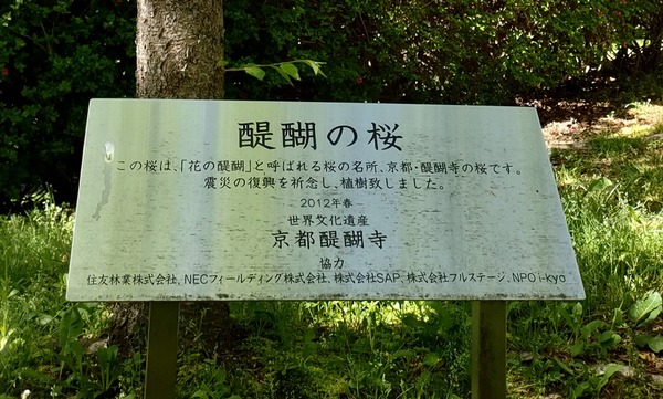 IMG202305110857292_R