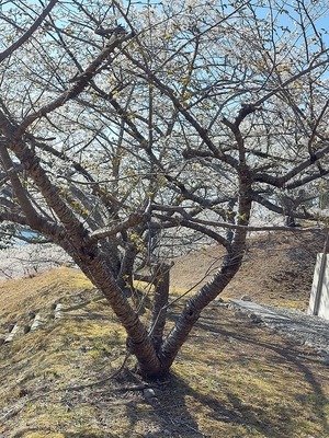 e72816c5.jpg