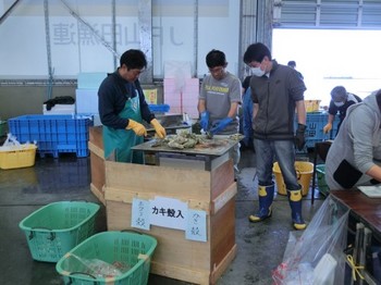 e9b4b353.jpg