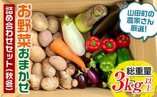 ふるさと特産品 漉磯さんの野菜 : 山田とことこ日記