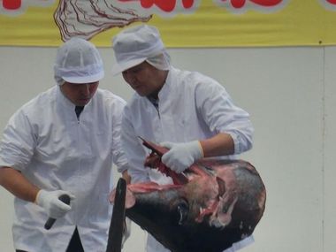 efacf7c5.jpg