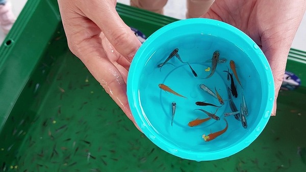 s-20231021_100410 - frame at 4m49s