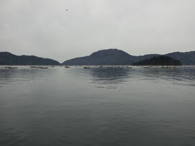 f1360678.jpg