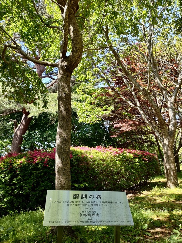 IMG20230511085729_R