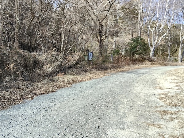 s-IMG20260315132251