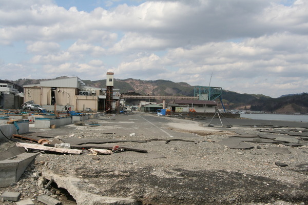 山田魚市場