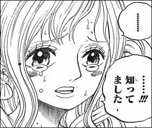 ワンピース 巨船ノアと伝説の人魚 ヤマカムセカンド