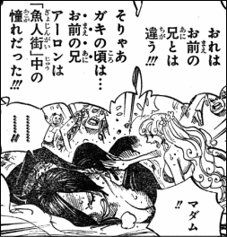 ワンピース 巨船ノアと伝説の人魚 ヤマカムセカンド ワンピース 巨船ノアと伝説の人魚 ヤマカムセカンド