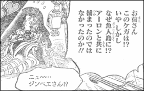 ワンピース 空白の1年とか美食とか ヤマカムセカンド