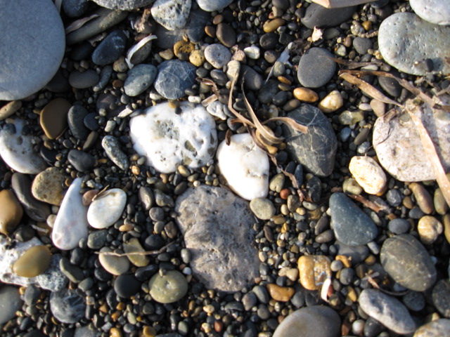 道北 サロマ鉱物の旅 ２ サロマ湖のメノウ 青年よ うまい飯をいただけ 日常編