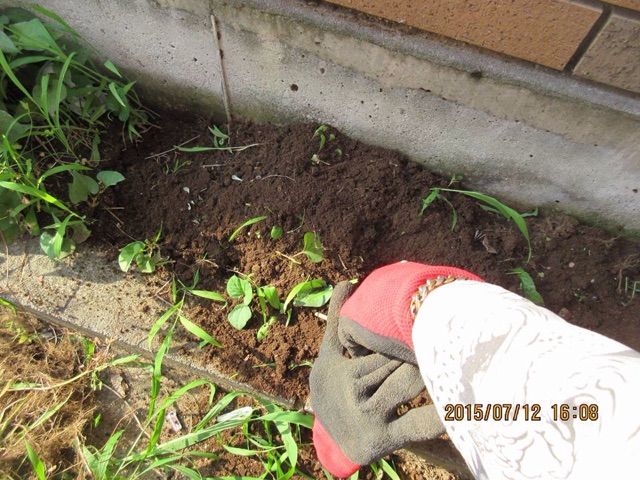 ドクダミそうvsヤマド 一発屋の山崎土建です