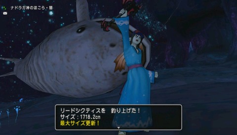闇の領界 Ver3 3に追加された新お魚5種類攻略 ねずことdq10攻略 闇の領界 Ver3 3に追加された新お魚5種類攻略 ねずことdq10攻略