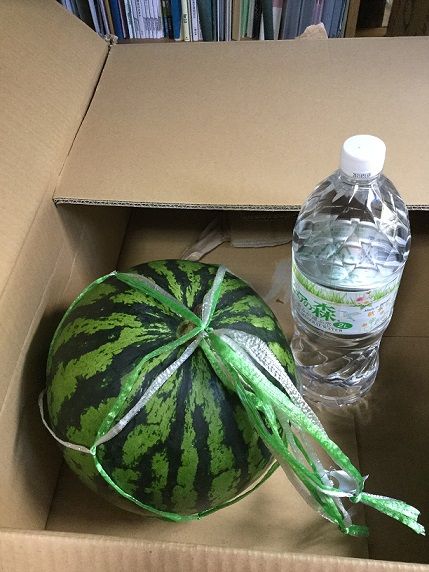 image1 (1)_s