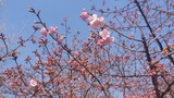 20200301_141517_Burst01