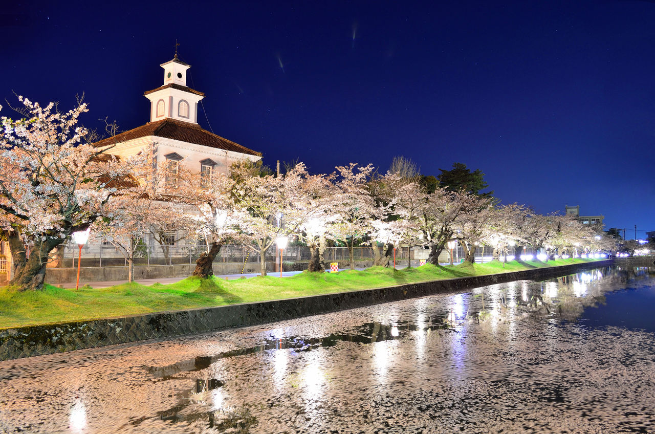 鶴岡市 鶴岡公園と内川の桜 しょうなの