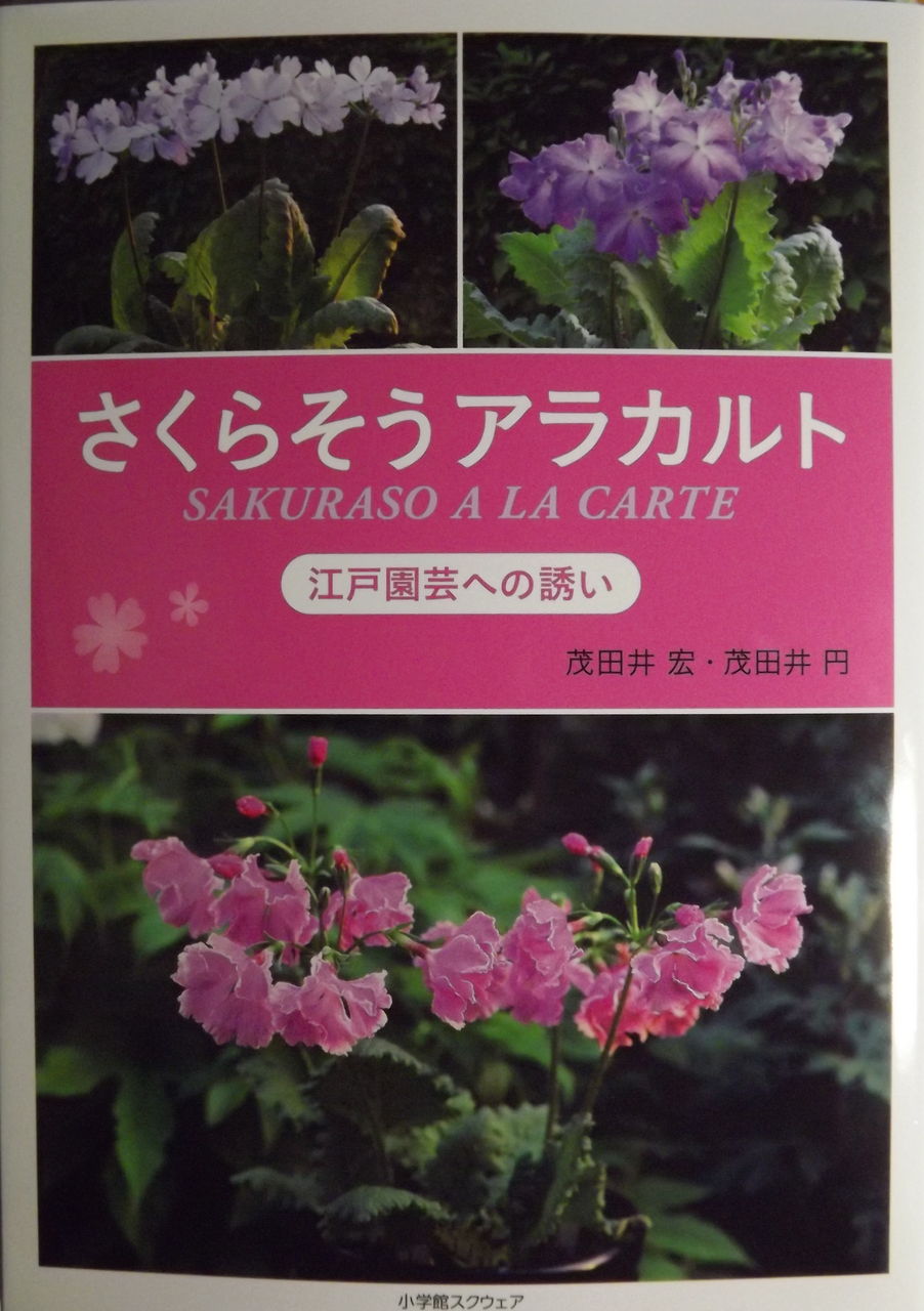 本の紹介 さくらそうアラカルト 日本の桜草と美術 本の紹介 さくらそうアラカルト 日本の桜草と美術