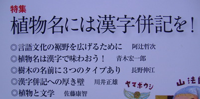 DSCF3913