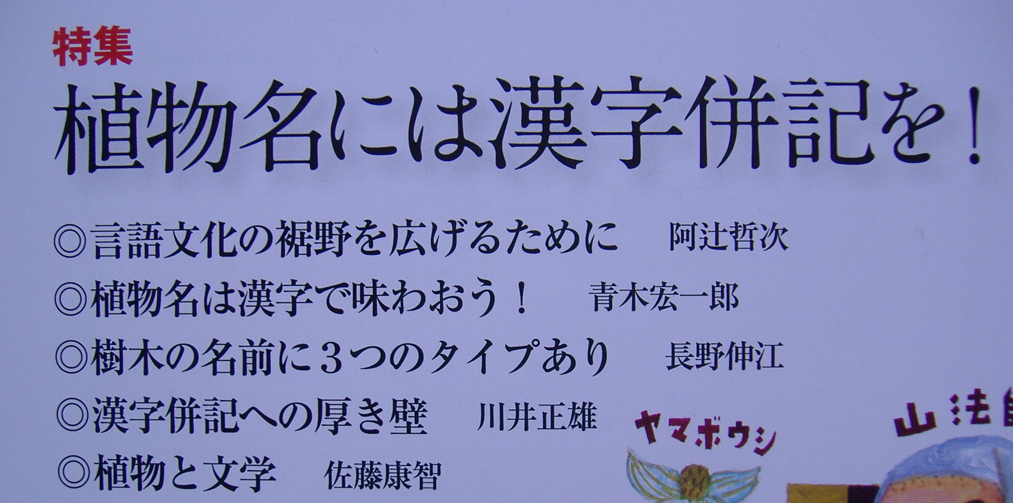 日本の桜草と美術