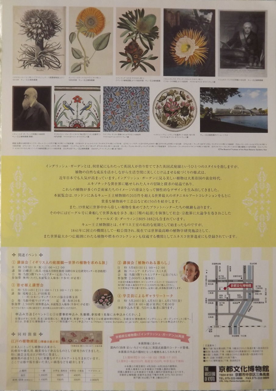 イングリッシュ ガーデン展 日本の桜草と美術