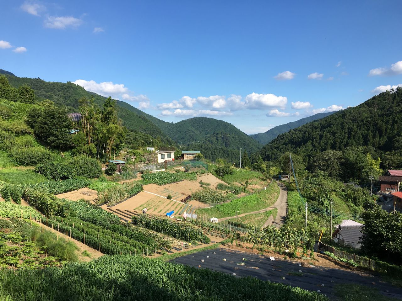 山のおばあに学ぶ 酒まんじゅう作り 報告レポート 山暮らしを学ぶ In 雑穀の村さいはら
