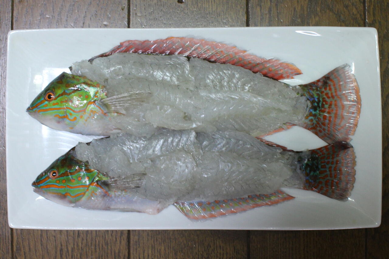 山で昼寝 年06月 山で昼寝 年06月