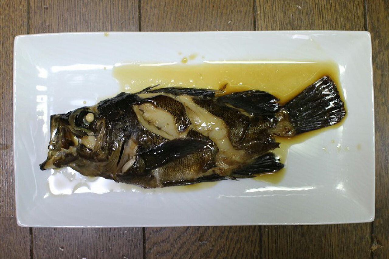 山で昼寝 21年02月