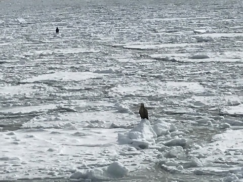 流氷2