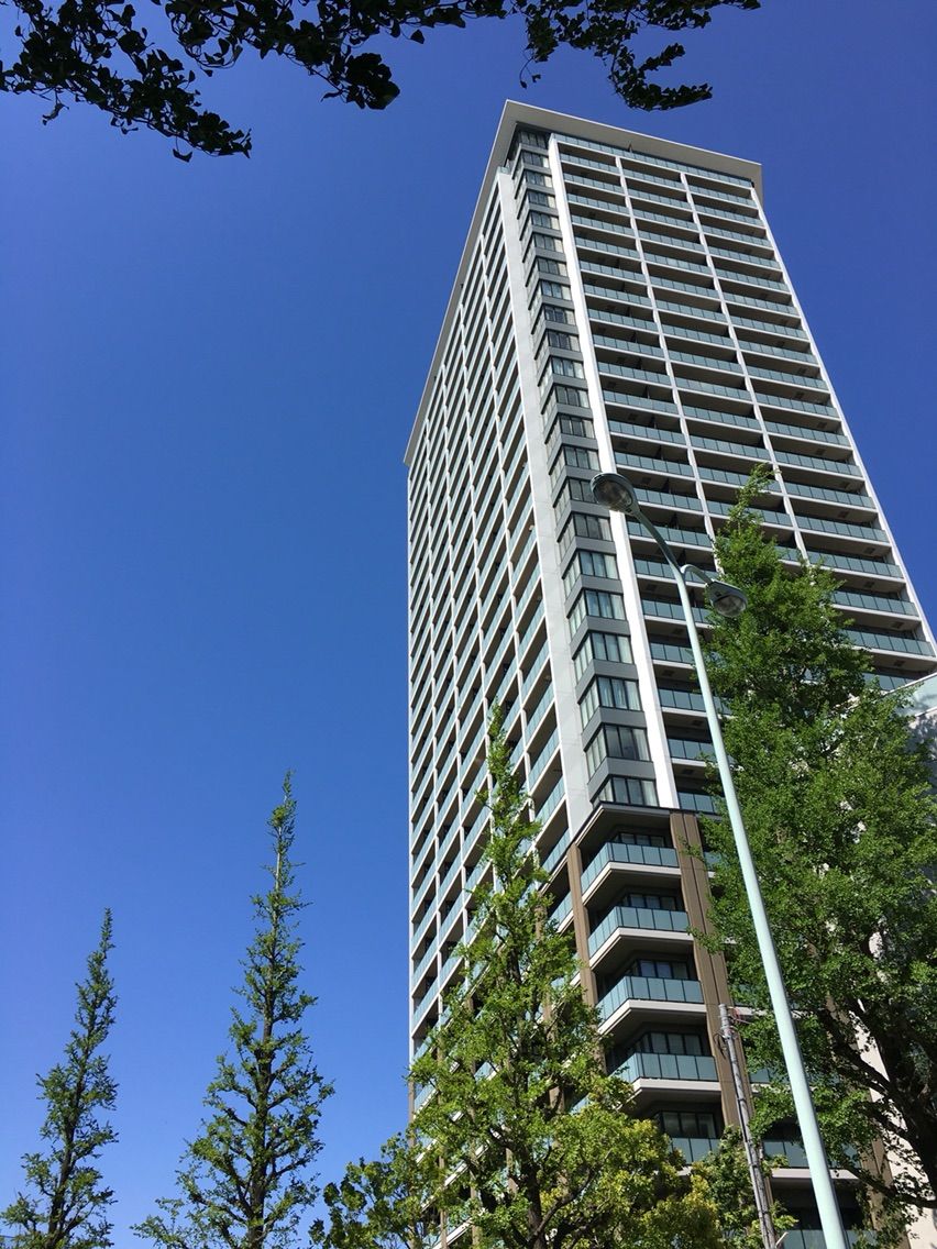 ちょっとした応用表現の Green Lit を押さえておく Revulb 17 Skies Away 英語を愉しむ