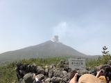 b776684e.jpg