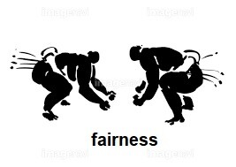 sumo fairness