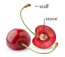 cherry