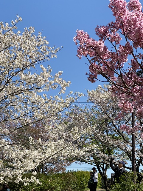 3C21B68B-DEF9-44B7-96B5-63A8A9EC3A02