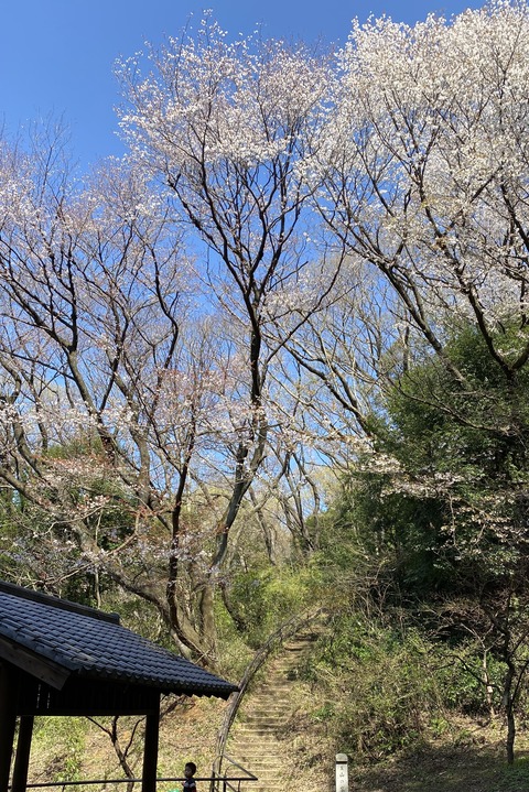 20FDBA25-523B-4449-962D-79AE800BED4E