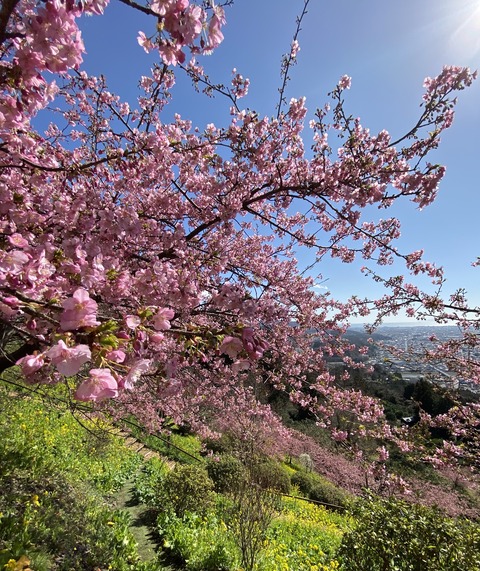 F2576382-DD11-49FC-BC42-2091C2C993B8