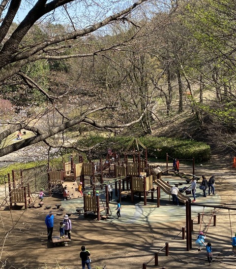 E2C43EDF-5E2C-442F-A97A-FA4C94450263