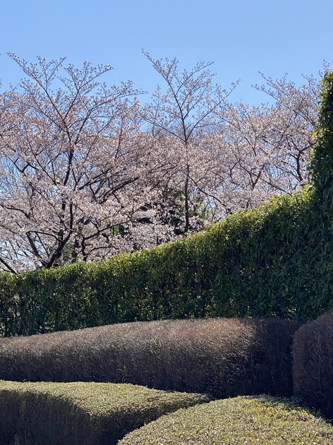 D4607F5A-8E9C-4F4C-AFD4-4AD4D197B495